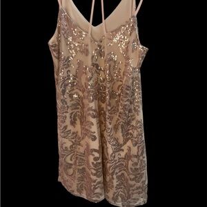 Xhilaration Blush Sequin Dress